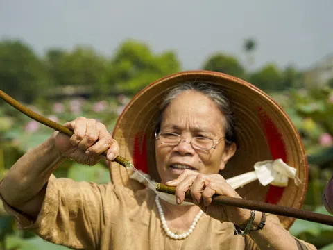 Sợi tơ sen mang “hồn túy” của người Việt