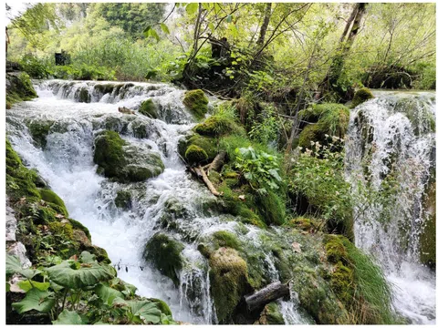 Đi bộ trong công viên quốc gia Plitvice Lakes của Croatia