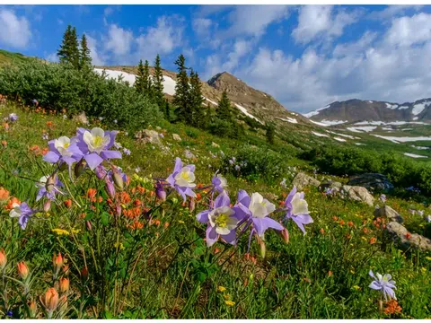 Thời điểm tốt nhất để thăm Colorado để có thời tiết tốt, giá cả phải chăng và ít đông đúc