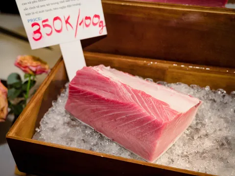 Cá ngừ vây xanh hảo hạng - tuyệt tác ẩm thực Nhật Bản
