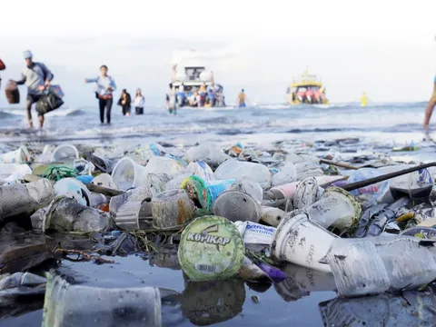 Quảng Ninh quy định du khách không được mang đồ nhựa dùng một lần ra đảo Cô Tô