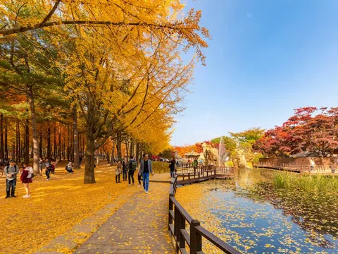 Top 9 địa điểm trải nghiệm mùa thu tuyệt vời nhất Hàn Quốc