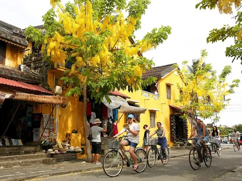 Lượng tìm kiếm quốc tế về Du lịch Việt Nam trong năm 2023 tăng nhanh thứ 6 thế giới