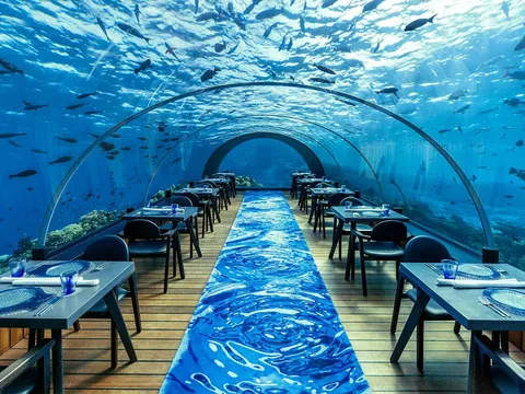 Khám phá lòng đại dương huyền bí tại 5 nhà hàng dưới biển vùng Maldives