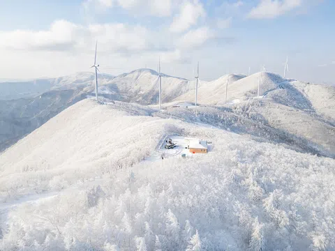 Lặng ngắm mùa đông Hàn Quốc đẹp lịm tim qua ống kính chàng trai Việt