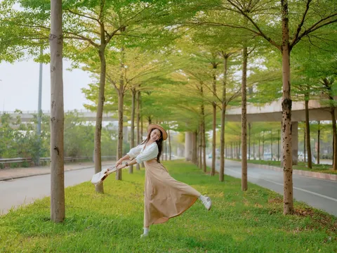 Lưu ý khi check-in hàng bàng lá nhỏ xanh ngắt "đẹp tựa trời Âu" ở Hà Nội