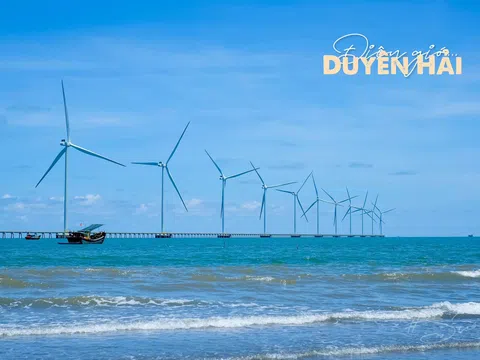 Xanh mướt cánh đồng điện gió Đông Hải tại biển Ba Động, Trà Vinh