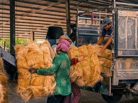 Nét đẹp làng nghề: Bến Tre – Vùng đất của dừa và nghề làm chỉ xơ độc đáo