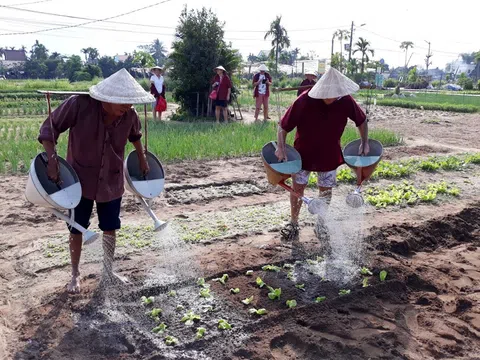 Đề xuất vinh danh Làng rau Trà Quế là làng du lịch tốt nhất thế giới 2024