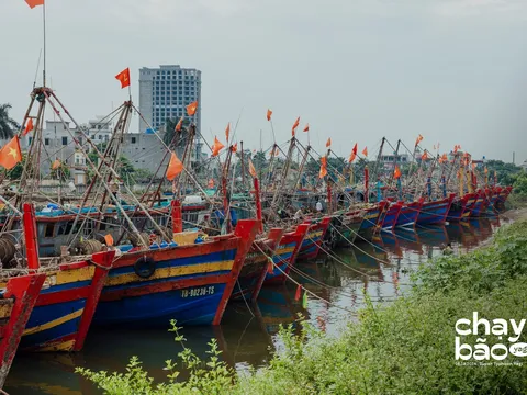 Bão Yagi càn quét miền Bắc: Hàng loạt tour tuyến bị hủy, sân bay Nội Bài đóng cửa