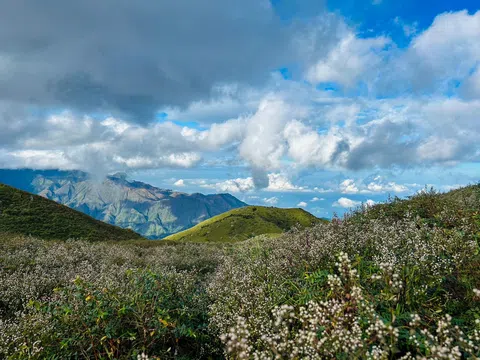 2N1Đ trekking Tà Chì Nhù ngắm hoa chi pâu