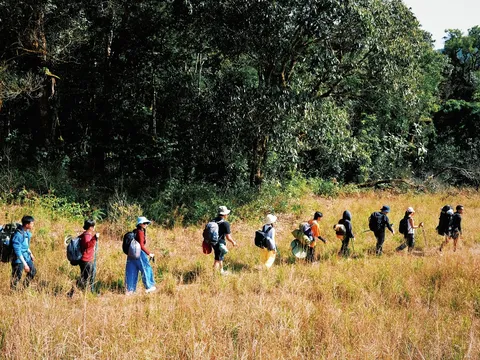 Lomburr mùa cỏ cháy