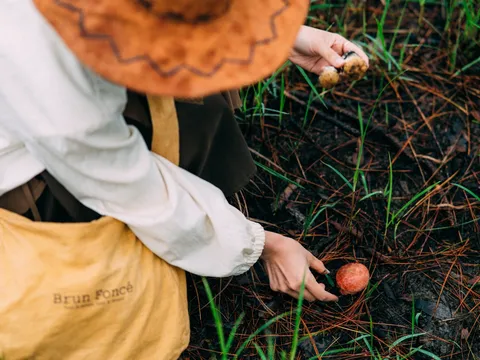 Đà Lạt vào mùa hái nấm, du khách có dịp 'sống ảo'