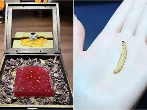 Chi hơn 13 triệu để ăn lá cây, kiến và… món tráng miệng làm từ phân voi