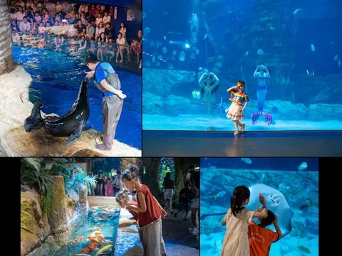 Thủy cung Lotte World Hà Nội: Sau 2 năm, vươn mình thành điểm đến giải trí – giáo dục hàng đầu và định hình chiến lược phát triển bền vững