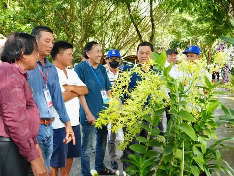 Khi núi rừng khoe sắc - Lễ hội Hoa Phong Lan rực rỡ tại Yang Bay