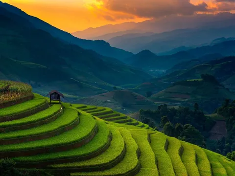 Mù Cang Chải - Khúc giao mùa rực rỡ
