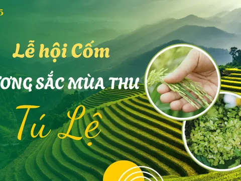 Tuần lễ cốm Tú Lệ 2025: Tôn vinh hạt ngọc của núi rừng Tây Bắc