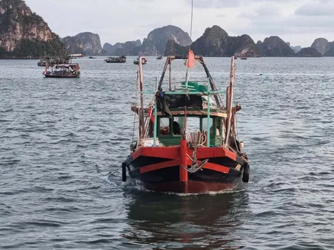 Quảng Ninh chủ động ứng phó với bão Matmo và cuồng phong Hạ Long, đảm bảo an toàn cho du khách