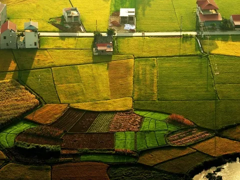Việt Nam có thêm 2 “Làng Du lịch tốt nhất năm 2025”: Khẳng định hướng đi bền vững Du lịch xanh gắn với sinh kế nông nghiệp