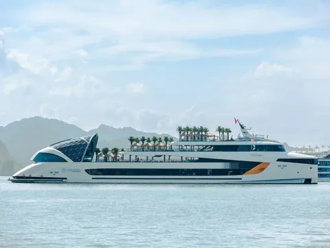 Dolphin Halong: Khi di sản rẽ sóng cùng giấc mơ du thuyền Việt