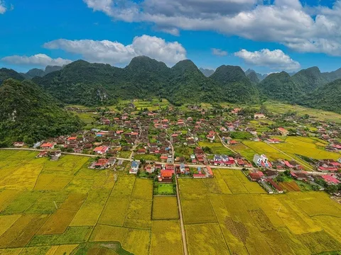 Lễ hội Mùa vàng Bắc Sơn 2025 – Hành trình tìm về thung lũng đẹp nhất mùa lúa chín