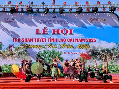 Lễ hội Trà Shan tuyết Lào Cai 2025: Tôn vinh di sản Suối Giàng giữa mây ngàn Tây Bắc
