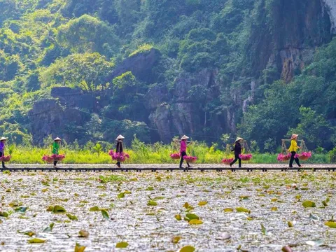 Du lịch Ninh Bình mùa thu: Trải nghiệm Sắc Hồng Tam Cốc lãng mạn
