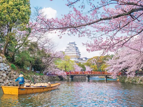 Khách Việt Nam đến Nhật Bản tăng mạnh: Tín hiệu bứt phá của thị trường du lịch outbound