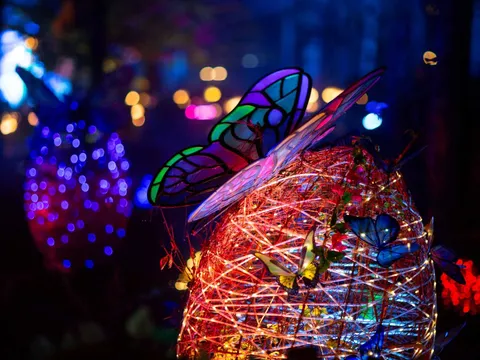 Delight Park Đà Lạt: Đánh thức hồ Than Thở bằng nghệ thuật ánh sáng và trải nghiệm đêm