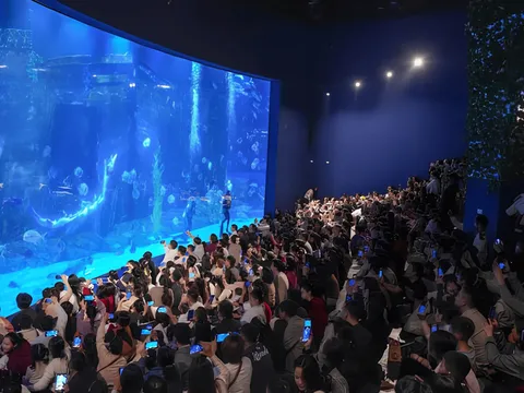 Thủy cung Lotte World Hà Nội: Điểm đến mùa hè lý tưởng cho mọi gia đình