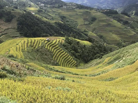 Mù Cang Chải: Đi tìm mùa vàng trên những cung đường dốc