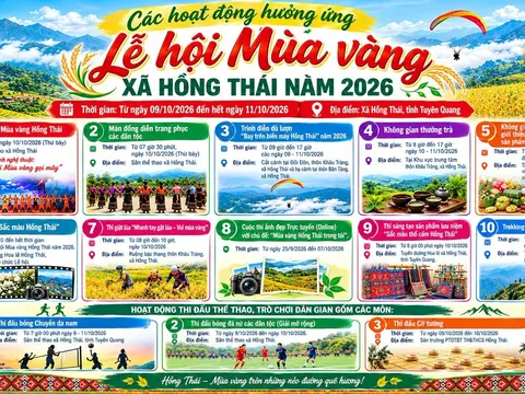 Lễ hội Mùa vàng Hồng Thái 2026: Lên núi săn mây, ngắm ruộng bậc thang và chạm vào sắc màu văn hóa Tuyên Quang
