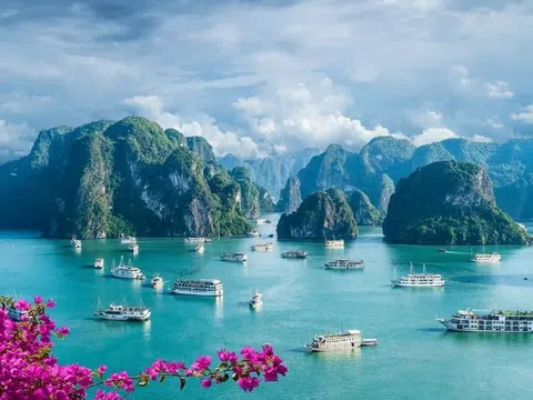 Vịnh Hạ Long lọt Top địa điểm du lịch tốt nhất năm 2024