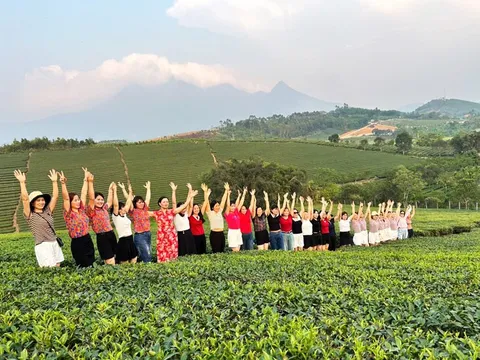 Thanh Thủy - điểm đến nổi bật của Phú Thọ