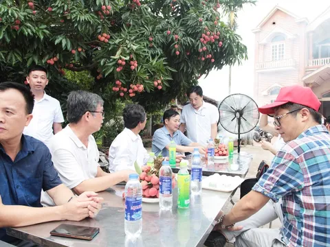 Bắc Giang: Chương trình du lịch “Vải thiều Lục Ngạn - Tinh hoa trái cây Việt” đã sẵn sàng