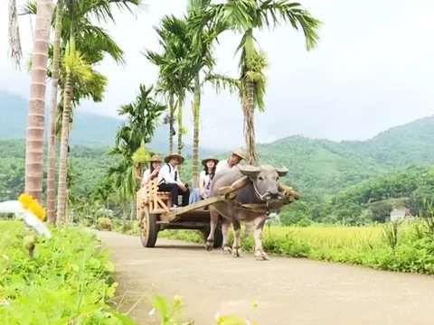 Thanh Hóa phát triển du lịch xanh