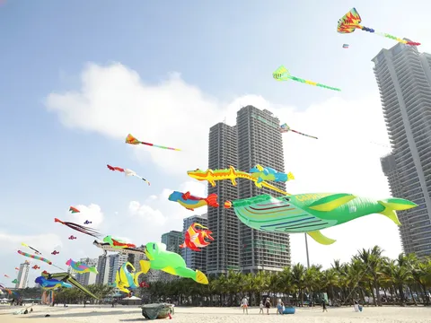 Đà Nẵng: Những cánh diều kể chuyện mùa hè