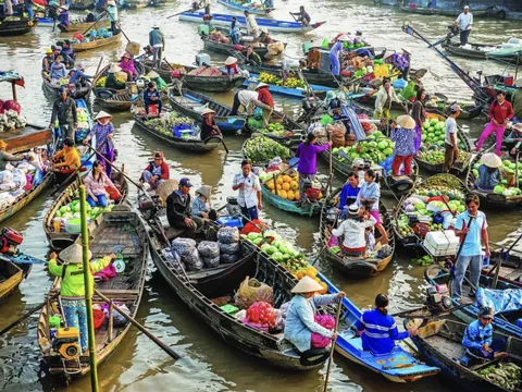 Khám phá vẻ đẹp sông nước miền Tây: Từ chợ nổi Cần Thơ đến đất mũi Cà Mau