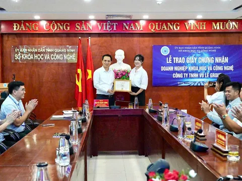 Khám phá nông sản Quảng Ninh từ cây chè xanh đến “Trà tửu”
