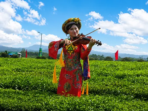 Đường Hoa: Đưa hương trà trở thành sản phẩm du lịch xanh