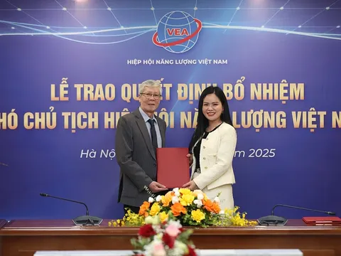 Lãnh đạo T&T Group làm Phó chủ tịch Hiệp hội Năng lượng Việt Nam