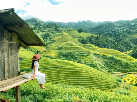 Vì sao người trẻ Việt thích đi du lịch độc thân, du lịch solo?