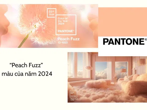“Màu của năm 2024” nói lên điều gì mà các hãng thời trang lớn theo đuổi