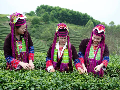 Hải Hà: Nơi hội tụ giá trị văn hóa dân tộc và tiềm năng du lịch bứt phá