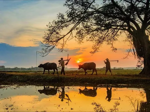 Sức hút Việt Nam: Hai thành phố lớn lọt top những điểm đến tuyệt vời nhất thế giới