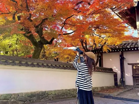 Lạc lối giữa sắc thu cổ kính ở cố đô Kyoto