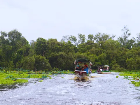 Miếu Bà Chúa Xứ đến Đua bò Bảy Núi: Đề án đánh thức tiềm năng du lịch An Giang mới