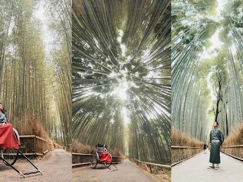 Du Lịch Nhật Bản: Trải nghiệm hoàng gia với dịch vụ xe kéo Arashiyama 5 sao khiến khách hàng 'mê mẩn'