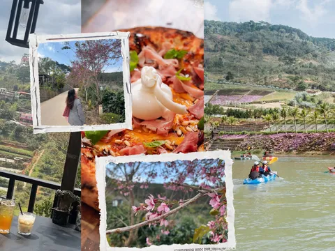 Về Đà Lạt đầu xuân: Những điểm dừng yên giữa phố, rừng và thung lũng